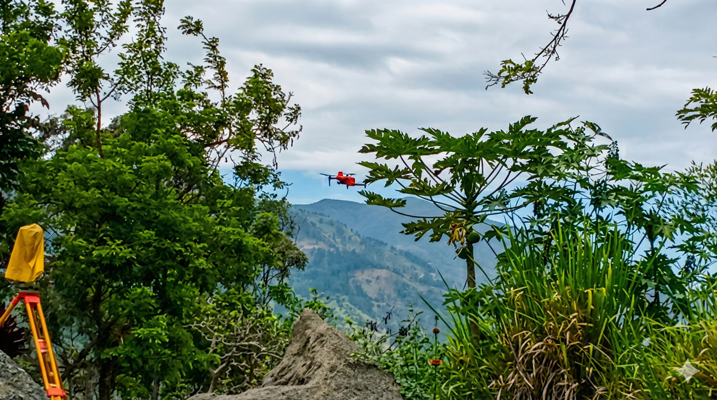 Land surveying and drone surveys were used to gather physical data, including slopes, drainage, boundaries etc. to give needed information for purchase decision.